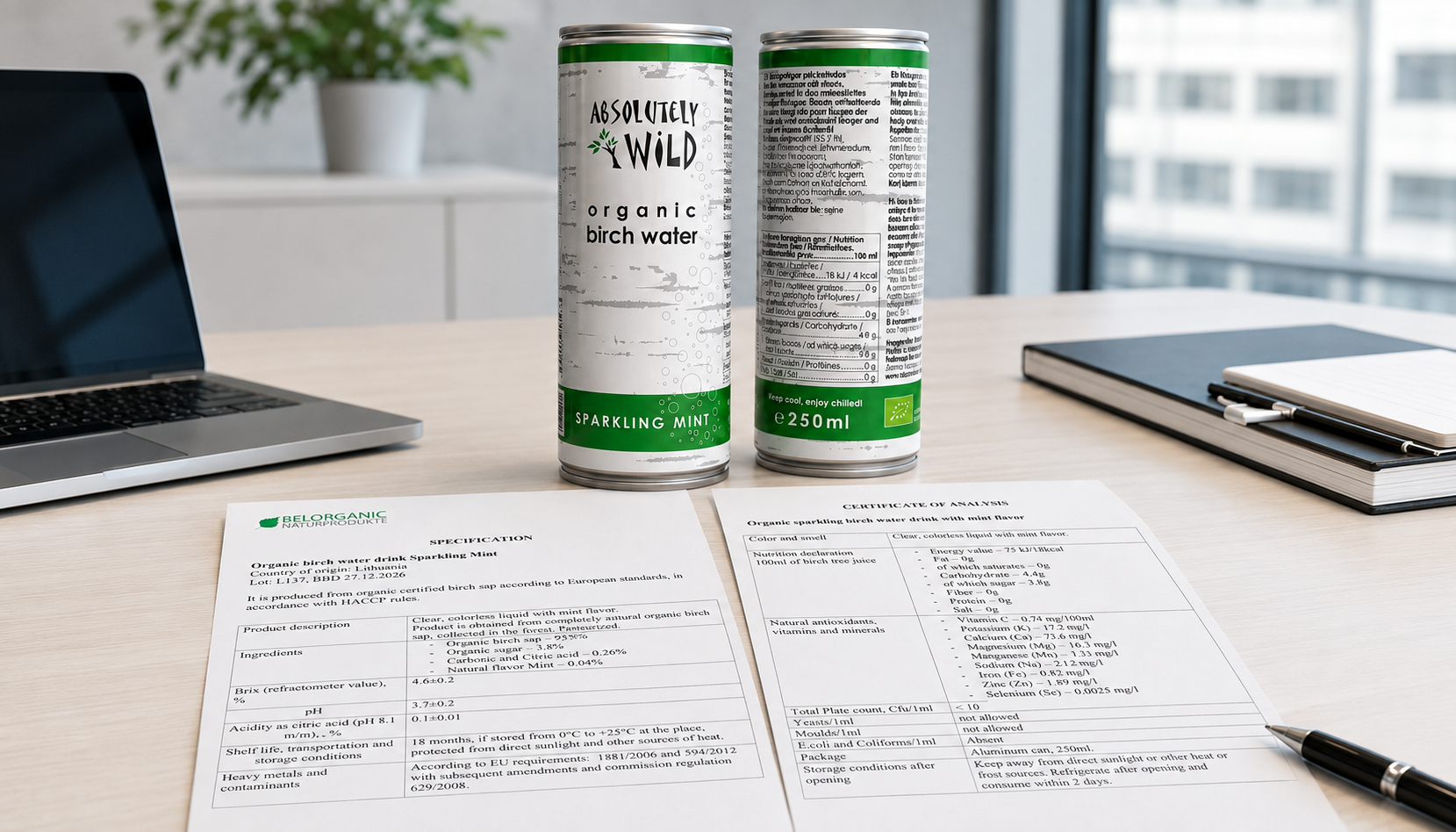 Why Birch Water on the Label Does Not Always Mean the Same Product